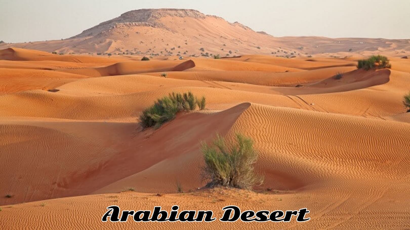 Top 10 Largest Deserts On The Earth | Biggest Deserts | Arabian desert