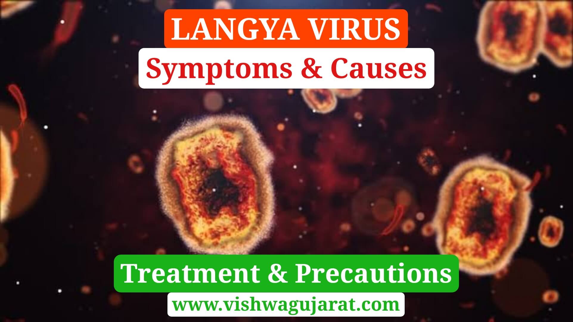 Langya Virus Symptoms, Treatment, Causes, Precautions, Cases