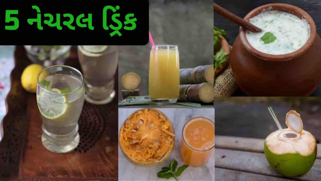 5 Natural Drink: આ 5 નેચરલ ડ્રિન્કનું સેવન કરો, ઉનાળામાં રહેશો ચુસ્ત અને તંદુરસ્ત